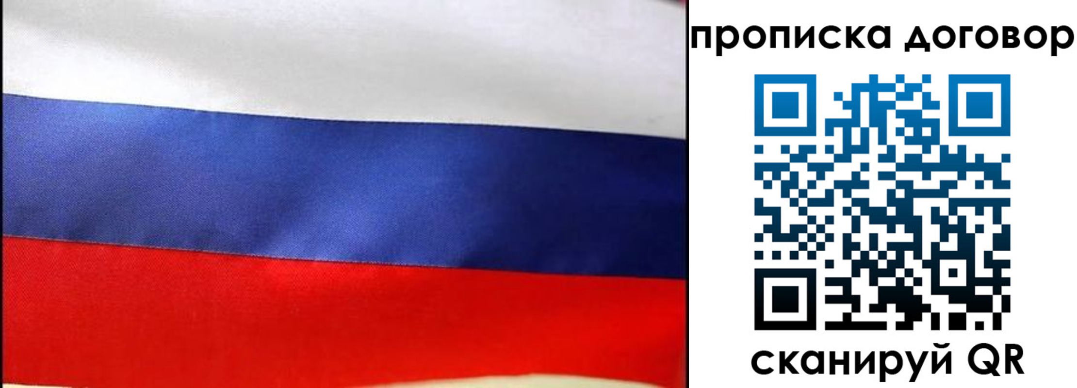 прописка гарантия в Ярцево